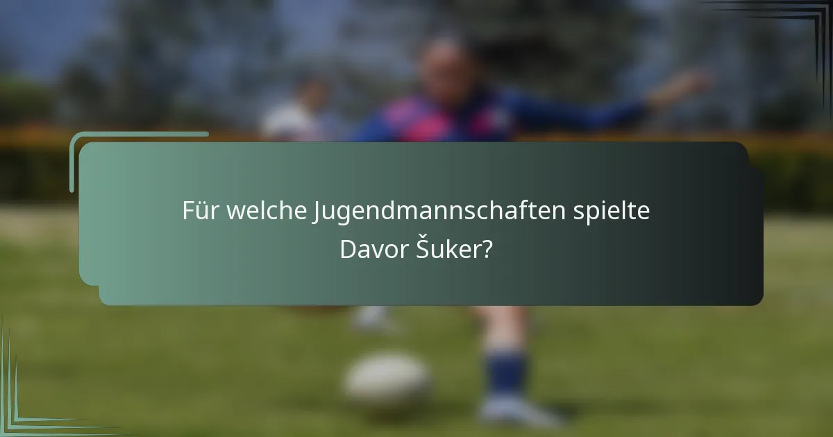 Für welche Jugendmannschaften spielte Davor Šuker?