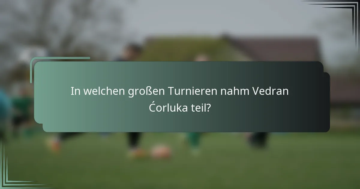 In welchen großen Turnieren nahm Vedran Ćorluka teil?