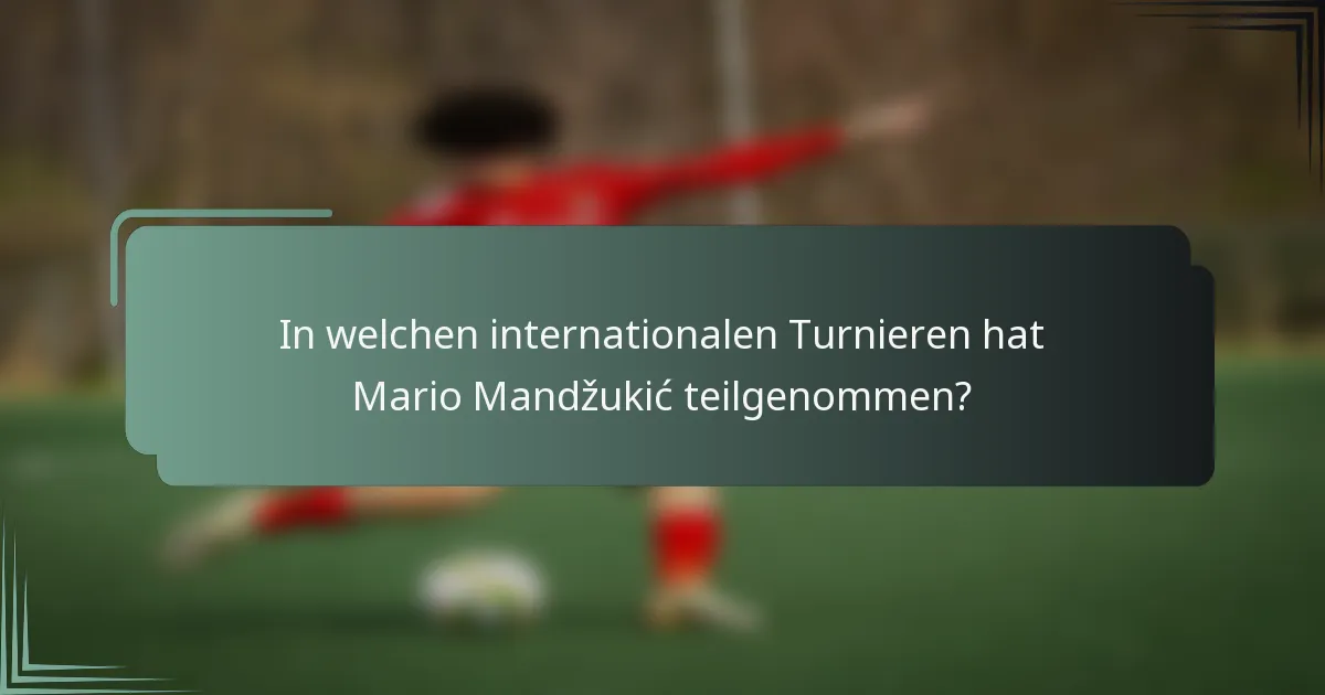 In welchen internationalen Turnieren hat Mario Mandžukić teilgenommen?